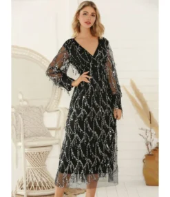 V-neck Sequins Tassel Sheered Party Dress