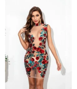 Sexy Flower Embroidery Sequins Mesh Party Dress