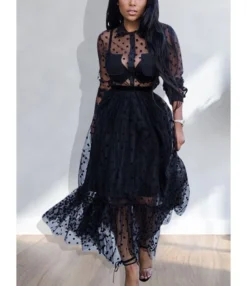 Polka Dot Sheered Mesh Maxi Dress