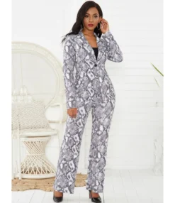2 Pieces Snakeskin Print Blazer And High Rise Dress Pants Set