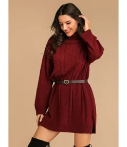 Mock Neck Jersey Sweater Dress Without Belt 210730369